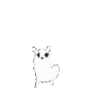 Jumping slugcat